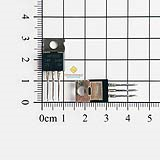 IRF3205PBF N-Mosfet 110A 55V TO-220 chính hãng Infineon (chân bóng)