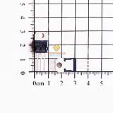 P60NF06 STP60NF06L N-Mosfet 60A 60V TO-220 chính hãng ST