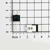IRF540N N-Mosfet 33A 100V TO-220 chính hãng IR