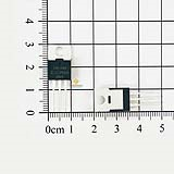 IRF1404 N-Mosfet 202A 40V TO-220 chính hãng IR